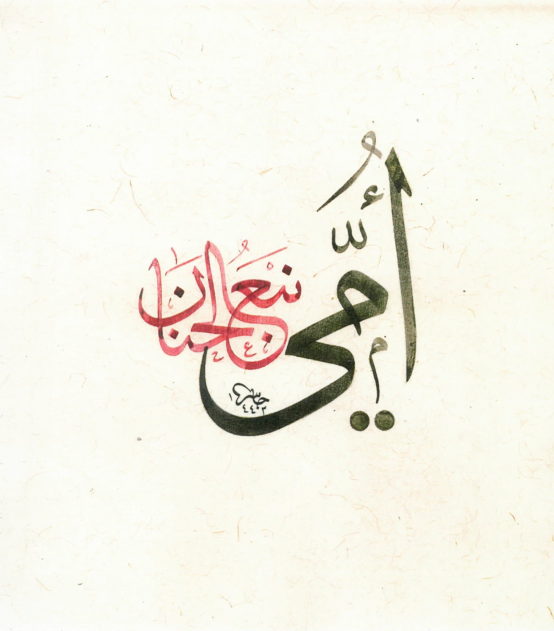 أمّي التي رأت قلبي قبل أن أرى عينيها